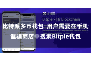 比特派多币钱包 用户需要在手机诓骗商店中搜索Bitpie钱包