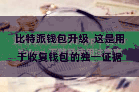 比特派钱包升级 这是用于收复钱包的独一证据