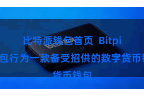 比特派钱包首页  Bitpie钱包行为一款备受招供的数字货币钱包