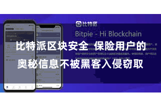 比特派区块安全  保险用户的奥秘信息不被黑客入侵窃取